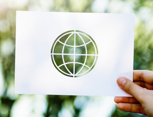 Globe cutout on white paper held up to nature background