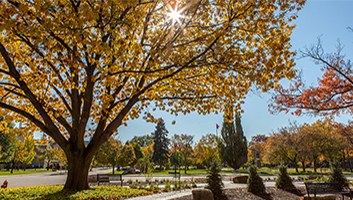 McMaster campus in fall